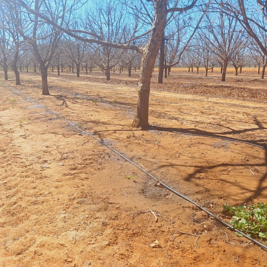  Bedroom Property for Sale in Hartswater Rural Northern Cape